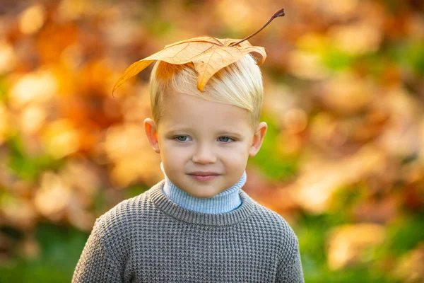 Bambino adorabile con foglie autunnali nel parco di bellezza. Fogliame autunnale, foglie gialle. Foglie di acero giallo sulla testa dei bambini. — Foto Stock