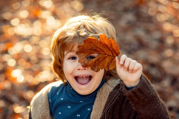 Un bambino nel parco autunnale. Il bambino si copre gli occhi con una foglia d'acero gialla nel parco autunnale. Bambini che camminano nel parco autunnale. Il ragazzo carino che gioca con le foglie d'acero all'aperto. Autunno bambino ritratto. — Foto Stock