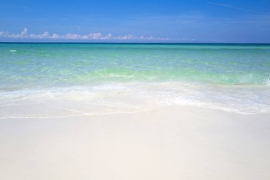 Palmiye ağaçları ve karamsar gökyüzü olan güzel bir sahil. Mükemmel bir okyanus arka planı. Tasarım kartpostalı için gündüz manzarası bakış açısı.