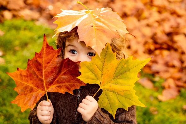 Παιδί με φθινοπωρινά φύλλα ως γυαλιά σε ζεστό σακάκι στη φύση. — Φωτογραφία Αρχείου