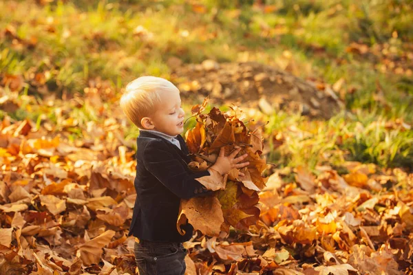 가을 공원에서 노랑 잎을 가진 소년. 낙엽을 버리고, 가을 공원에서 노는 행복 한아이. 행복 한 아이가 가을 나뭇잎을 던지고 밖에서 웃음짓습니다, 노란 잎. — 스톡 사진