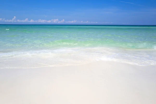 Piękna plaża z palmami i humorzastym niebem. Idealne tło oceanu. Światło dzienne krajobraz punkt widzenia na projekt pocztówki. — Zdjęcie stockowe