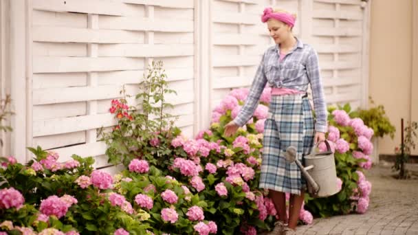 Moeder terwijl ze in de achtertuin werkte. Glimlachende vrouw houdt gieter op bloemen achtergrond tegen roze hortensia. Vrouw zorgt voor ongelooflijk mooie roze bloemen. Concept van water geven van bloemen. — Stockvideo