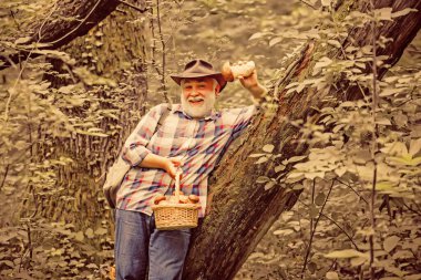 Yaşlı adam yürüyor. Büyükbaba Emeklisi. Ormanda son sınıf yürüyüşü. Yaz ve hobiler. Büyükbaba yaz ormanında mantar toplar. Emeklilik.