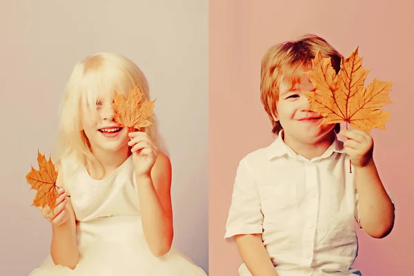 Niños divirtiéndose con Hoja caída. Los grandes descuentos para toda la ropa de otoño para niños. Hoja caída niño feliz y alegría Hola noviembre. Feliz bebé. Otoño Ropa y tendencias de color . —  Fotos de Stock