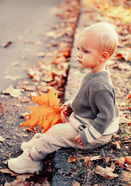 Boldog kisfiú sétál a parkban. Napos őszi nap. A fiú ül és játszik az őszi sárga levelekkel. Édes kisfiú játszik az őszi parkban. Napsütéses nap. Életmód rögzítése. — Stock Fotó