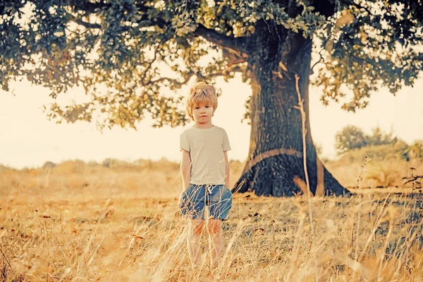 Petit enfant à l'air frais. Belle journée amusante pour un garçon mignon dans la nature. C'est drôle. Garde d'enfants. Poser dehors. — Photo