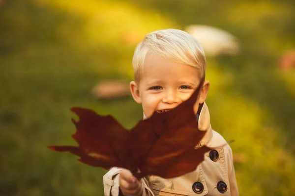 Φθινόπωρο εξωτερική γκρο πλαν πορτρέτο του όμορφου ευτυχισμένου παιδιού με τα πόδια στο πάρκο ή το δάσος σε ζεστή φθινοπωρινή ενδυμασία. Χαρούμενη παιδική ιδέα. Πτώση αφήνει τα παιδιά έννοια, φύλλα σφενδάμου. — Φωτογραφία Αρχείου