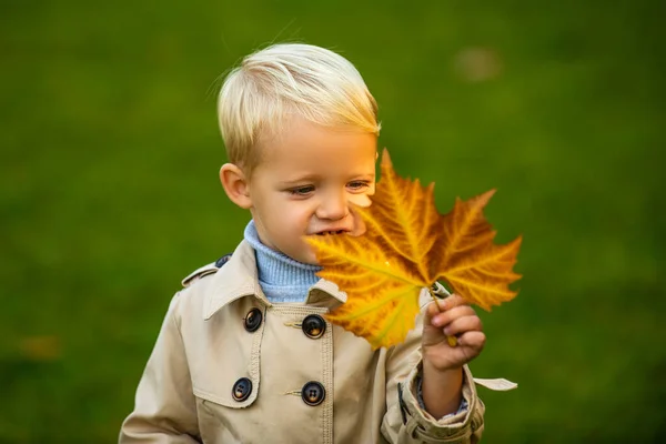 Aranyos gyerek őszi levelekkel a természetben. Gyermek fiú séta az őszi parkban, őszi lombozat. — Stock Fotó