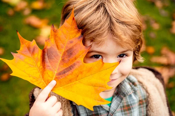 A gyermek egy sárga juharfalevéllel takarta el a szemét az őszi parkban. Boldog gyerek, kisfiú, játszik a gyönyörű őszi parkban a meleg őszi napon. A gyerekek arany juharfalevéllel játszanak közelről. Őszi levelek. — Stock Fotó