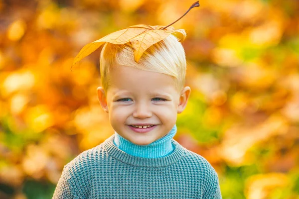 Χαμογελαστό ξανθό παιδί κρατά φύλλα του φθινοπώρου στη φύση. Φθινοπωρινό παιδί, χαριτωμένο παιδί με πεσμένα φύλλα στο φθινόπωρο. Κίτρινα φύλλα σφενδάμου στο κεφάλι των παιδιών. — Φωτογραφία Αρχείου
