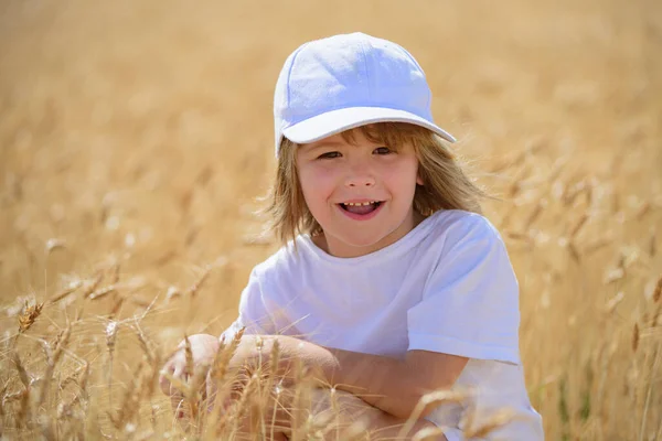 Criança feliz no campo de trigo ao ar livre. Bonito menino sorridente andando no campo de trigo . — Fotografia de Stock