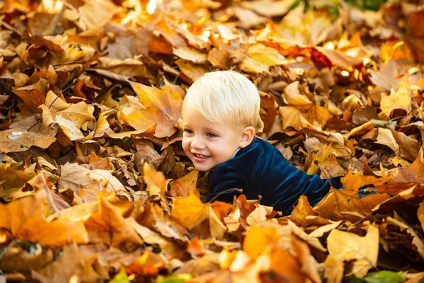 秋天公园里的孩子们，背景黄叶。孩子躺在金黄色的叶子上.秋天公园里的小孩，秋天的心情. — 图库照片