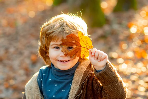 Bambini autunnali, bel bambino che gioca nel parco autunnale. — Foto Stock