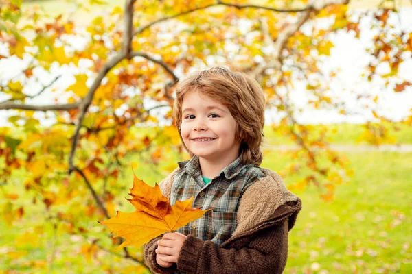귀엽고 귀여운 소년의 가을 사진. 가을 공원에서 나뭇잎을 기르는 아이. — 스톡 사진