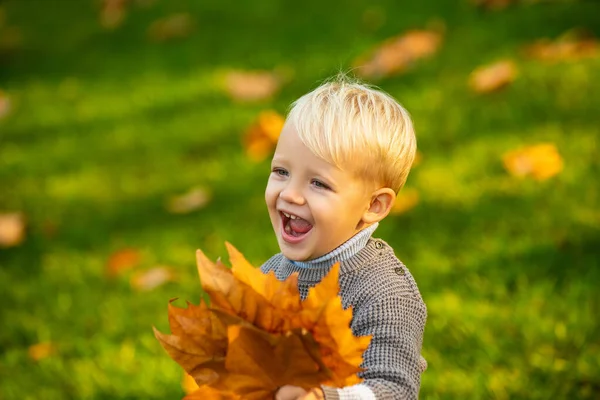 Ενθουσιασμένο παιδί με φθινοπωρινά φύλλα στο πάρκο ομορφιάς. Χαμογελαστό ξανθό παιδί κρατά φύλλα του φθινοπώρου στη φύση. Χαμογελάστε παιδιά. — Φωτογραφία Αρχείου