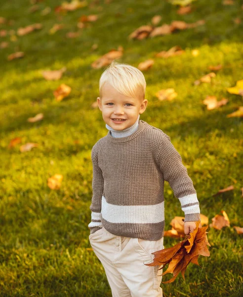 Hösten utomhus porträtt av vackra glada barn promenader i parken eller skogen i varma höstkläder. Barn i varm stickad tröja. Glad barnvandring i höstparken. — Stockfoto