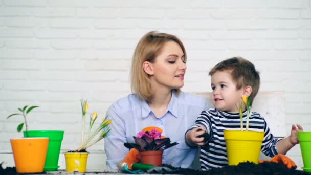 Tohum kavramı. Anne ve oğlu renkli saksılara çiçek ekerler. Küçük bir çocuk saksıya çiçek ekmesine yardım ediyor.. — Stok video