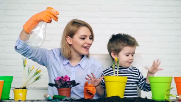 妈妈和儿子在盆里种花.一个小男孩帮助妈妈在罐子里种花。花卉护理的概念. — 图库视频影像