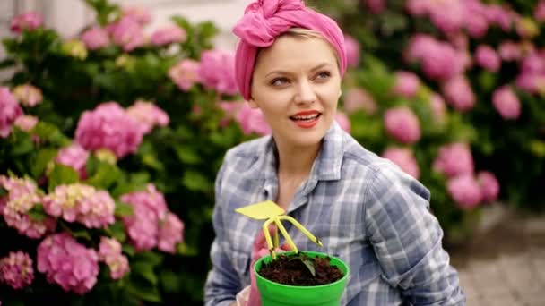 Mulher no jardim de flores cuida de flores. Conceito de cuidado para as plantas. Mulher americana com um lenço rosa cuida de hortênsias . — Vídeo de Stock