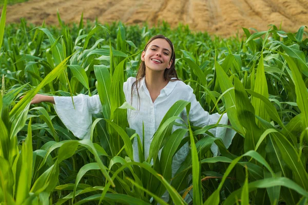 Young happy girl showing harvested corn in the field. American woman in a white dress harvests corn. Young woman farmer at corn harvest.