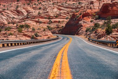 Güneşli yaz gününde asfalt yolda yan manzara.