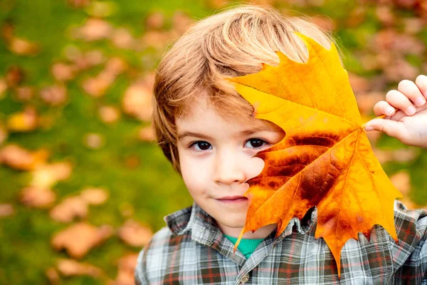 秋天的孩子，闭上你的脸秋天的孩子们，可爱的孩子在秋天的公园里玩耍. — 图库照片