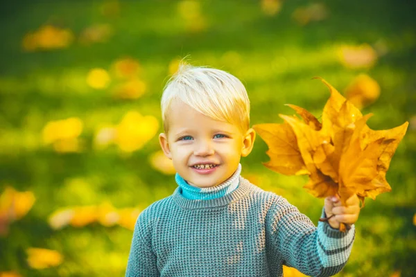 Őszi szabadtéri portré gyönyörű boldog gyermek séta parkban vagy erdőben meleg őszi ruházat. Mosolygó szőke gyerek tartja őszi levelek a természetben. — Stock Fotó