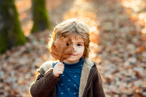 子供は黄色いカエデの葉で目を覆います。秋の公園を歩く子供たち。カエデの葉を屋外で遊んでかわいい男の子。幼児は秋を着る。秋の子像. — ストック写真