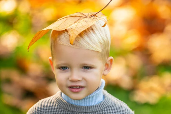Χαριτωμένο αγοράκι που παίζει με φύλλα στο φθινοπωρινό πάρκο, φθινοπωρινή διάθεση. Κίτρινα φύλλα σφενδάμου στο κεφάλι των παιδιών. — Φωτογραφία Αρχείου