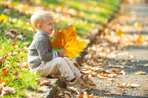 可爱的高加索小男孩的秋天肖像。穿着温暖针织毛衣的孩子。秋天留给孩子的概念，秋天的心情. — 图库照片