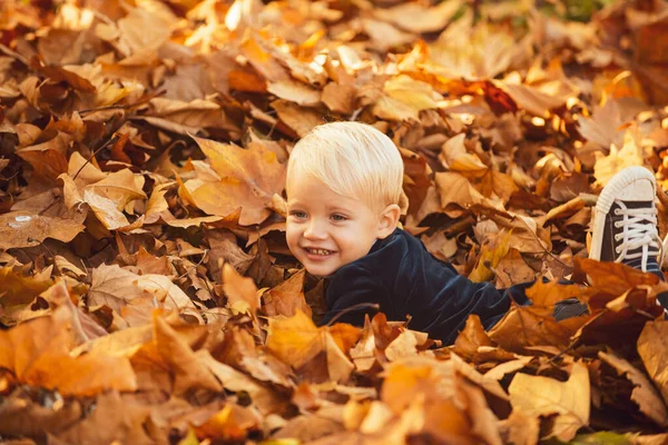 가을은 아이들의 개념을 남긴다. 황금 잎 위에 누워 있는 아이입니다. 가을 공원에서 노랑 잎을 가진 소년. 웃어 봐. — 스톡 사진