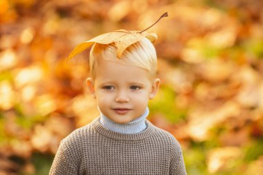 Sonbahar parkında yürüyen çocuk. Mutlu çocukluk kavramı. Ilık örülü süveter giyen çocuklar. Sarı akçaağaç yaprakları çocukların kafasında.