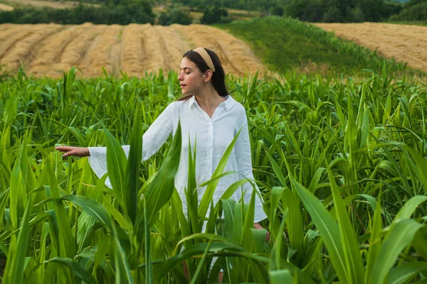 Jeune agriculteur dans un champ de maïs. Femme gaie posant dans la culture du maïs, l'agriculture et le concept de culture. — Photo