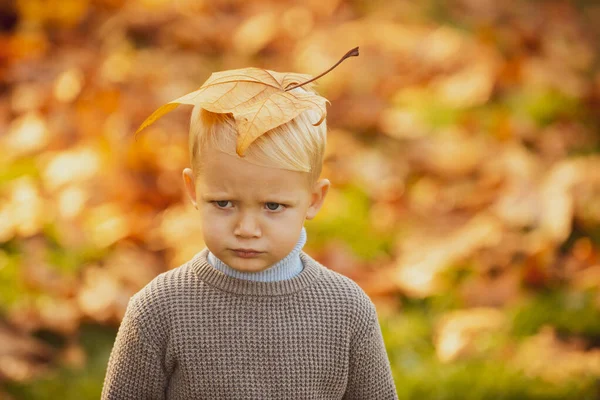 Sad child with autumn leaves, autumnal mood. Yellow maple leaves on kids head. — Stock Photo, Image