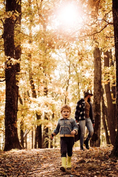 Baba ve küçük çocuk sonbahar parkında. Baba ve oğul sonbahar ormanlarında yürüyor ve güzel doğanın tadını çıkarıyorlar. Sonbaharın başlangıcı. Sonbahar doğa konseptinde aile fotoğrafı.. — Stok fotoğraf