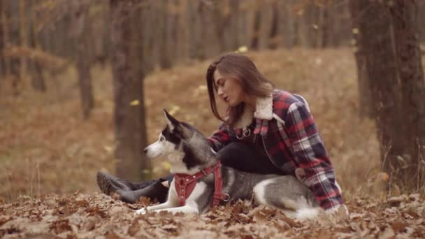 Modetrend Herbst. Junge schöne Frau mit Husky-Hund beim Spazierengehen im Park. Alaska-Malamute über die Natur im Herbstpark. — Stockvideo