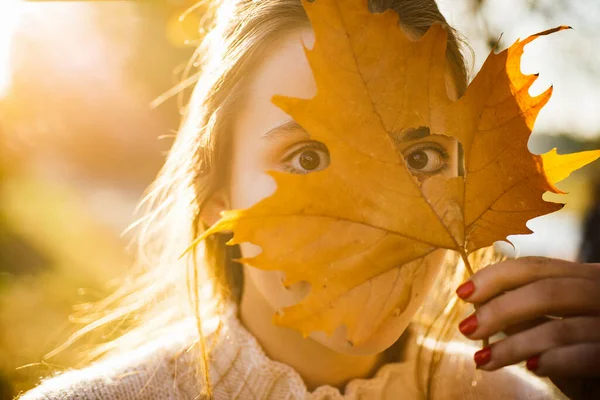 Otoño. Cara graciosa. Mujer sosteniendo hojas de arce amarillo y ocultando ojos. —  Fotos de Stock