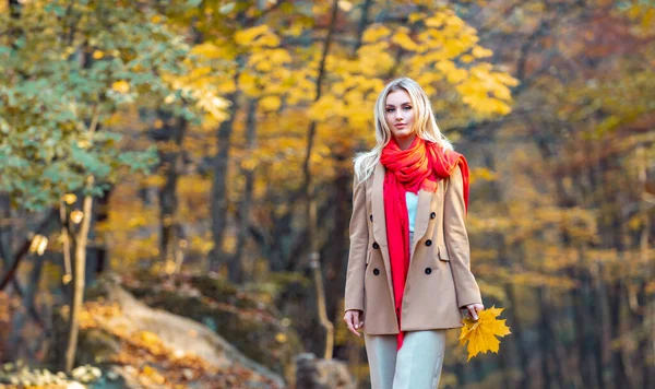 Mode hübsche Frau Modell posiert über gelben Blättern Hintergrund. — Stockfoto