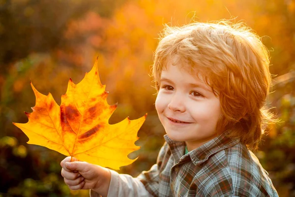 近照秋天孩子的肖像男孩。秋天很有趣-可爱的男孩在秋天的树叶里很开心，快乐的孩子. — 图库照片