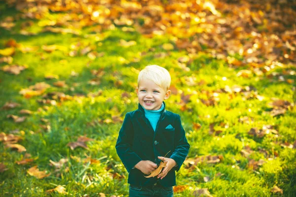 Autunno bambini Ritratto In Autunno Foglie Gialle. Bambino piccolo in giallo Parco Outdoor. — Foto Stock