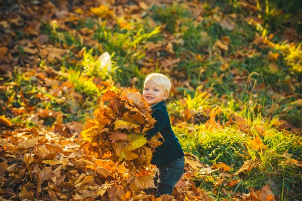 Милый ребенок играет с осенними листьями. Счастливый ребенок бросает опавшие листья вверх, играя в осеннем парке. Счастливый ребенок бросает осенние листья и смеется на открытом воздухе, листья падают. — стоковое фото