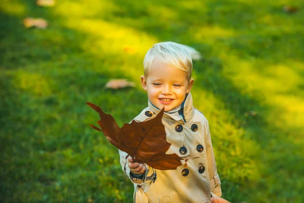 Bonito sorriso criança segurando folhas de outono na natureza. Crianças de outono Retrato em folhas amarelas da queda. Criança pequena no parque amarelo ao ar livre . — Fotografia de Stock