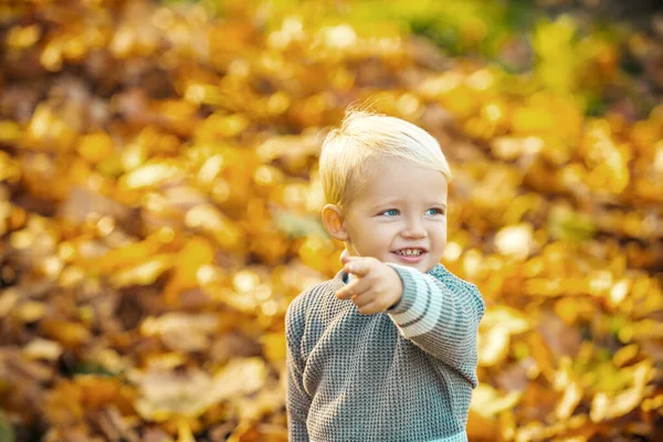 Kind mit Herbstblättern im Schönheitspark. Herbst Kinderporträt, Herbst Laub. — Stockfoto