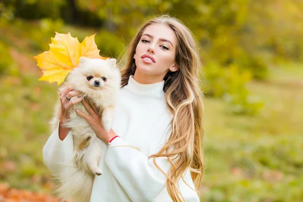 Осеннее время с домашними животными. Женщина с собачкой на осеннем кленовом листе на открытом воздухе. Эмоциональная поддержка. — стоковое фото
