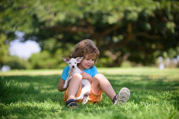 Portrait of a little cute boy child with dog relaxing on nature. — Stock Photo, Image