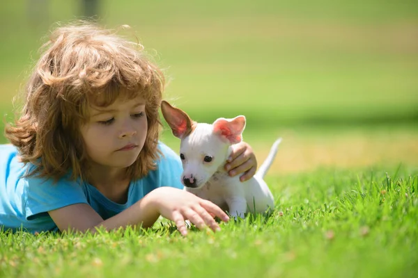 Primer retrato del niño abrazando al perro. Emociones positivas de los niños. Niños divertidos jugando con su perro cachorro en el parque. Chihuahua mezclado. Los niños abrazan amorosamente a su perro mascota. — Foto de Stock