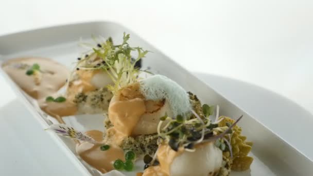 Luxury Molecular Dish with Sliced Veal Meat. Haute couture dessert. Micro-greens. — Stock Video