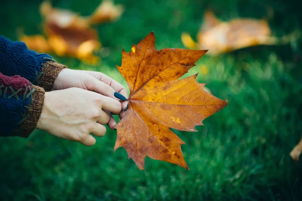 Nice sunny weather. Female hand with yellow leave. Young woman with beautiful autumn leave. Autumn yellow leave in the girls hand. Holding a yellow autumn leave in hand in the forest. — Stock Photo, Image