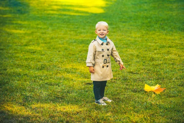Retrato infantil de otoño. Niño con hojas de otoño en el parque de belleza, día de otoño. — Foto de Stock